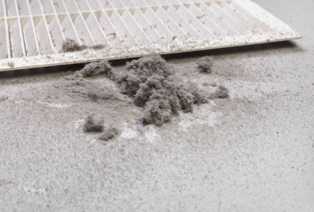 Best Air Duct Cleaning Near Me  in Lowell, NC